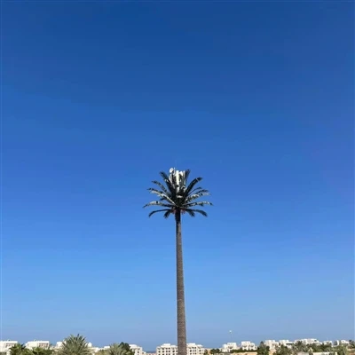 無線タワーはどのくらいの頻度でメンテナンスが必要ですか?